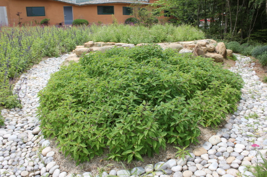 s_ 079.jpg