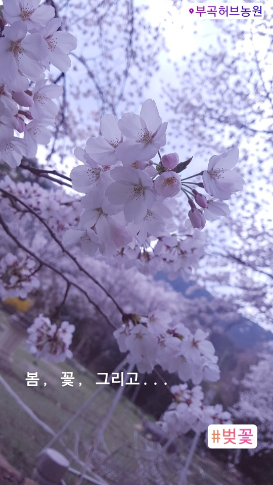 KakaoTalk_20190402_152637359.jpg